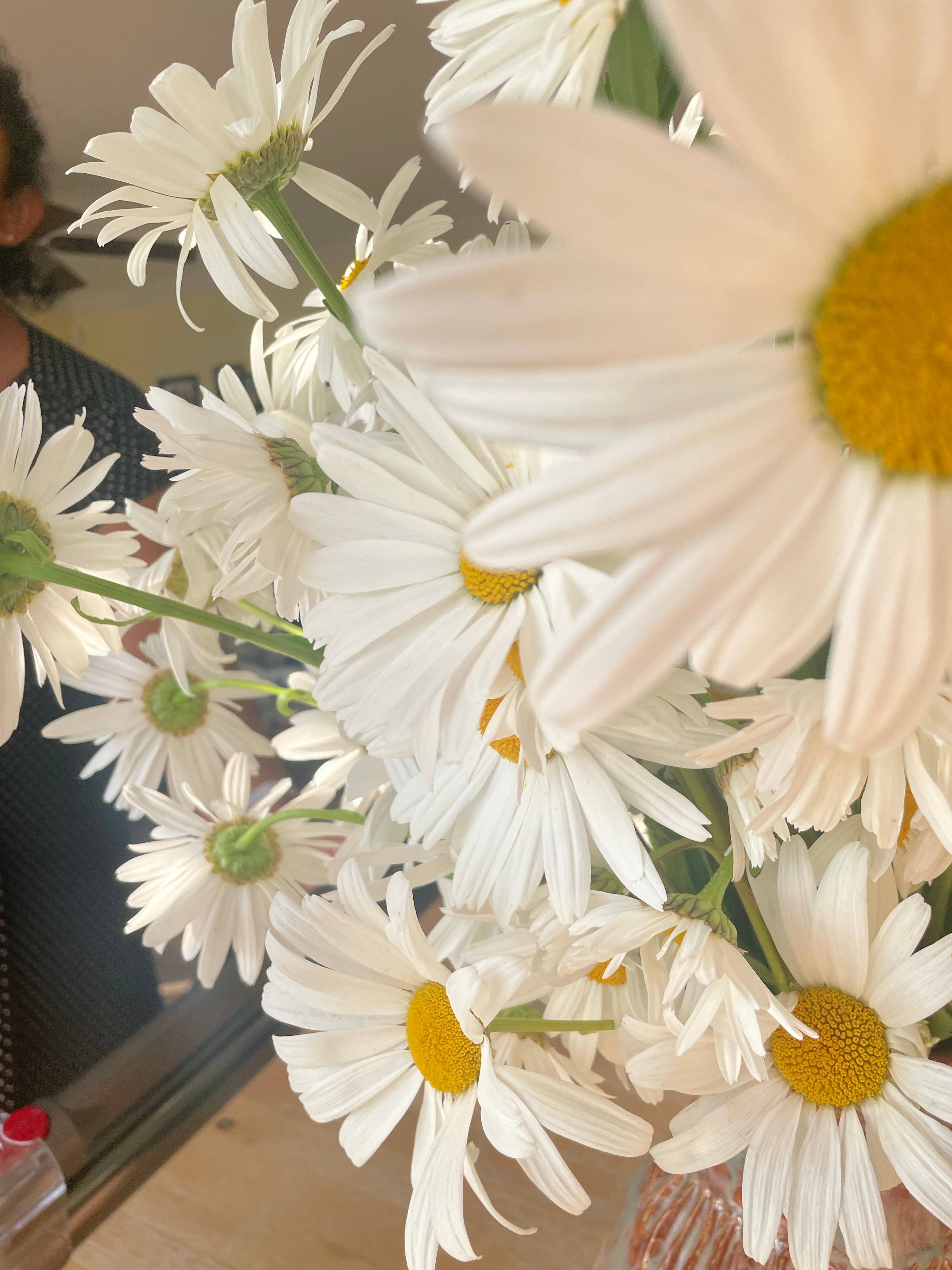recommendation image