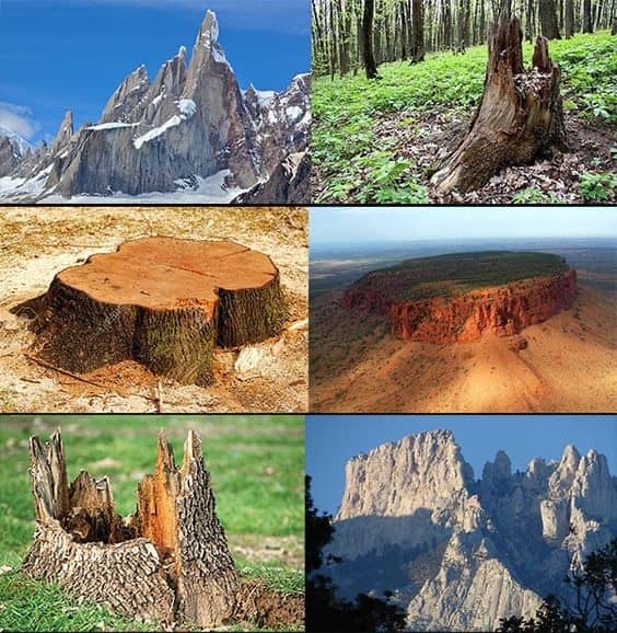 recommendation image