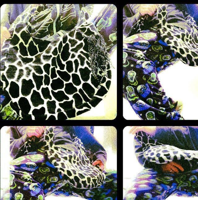 recommendation image