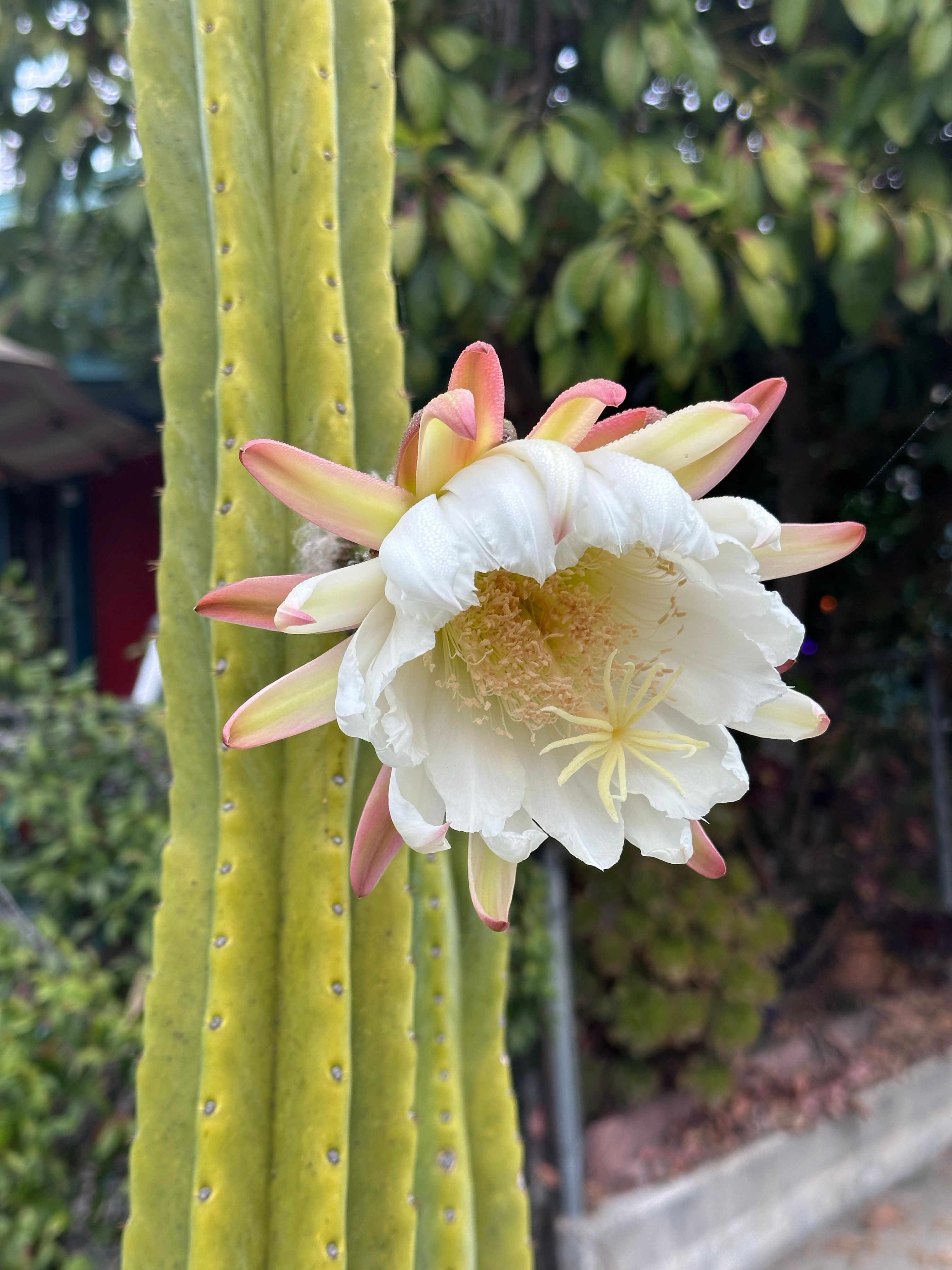 recommendation image