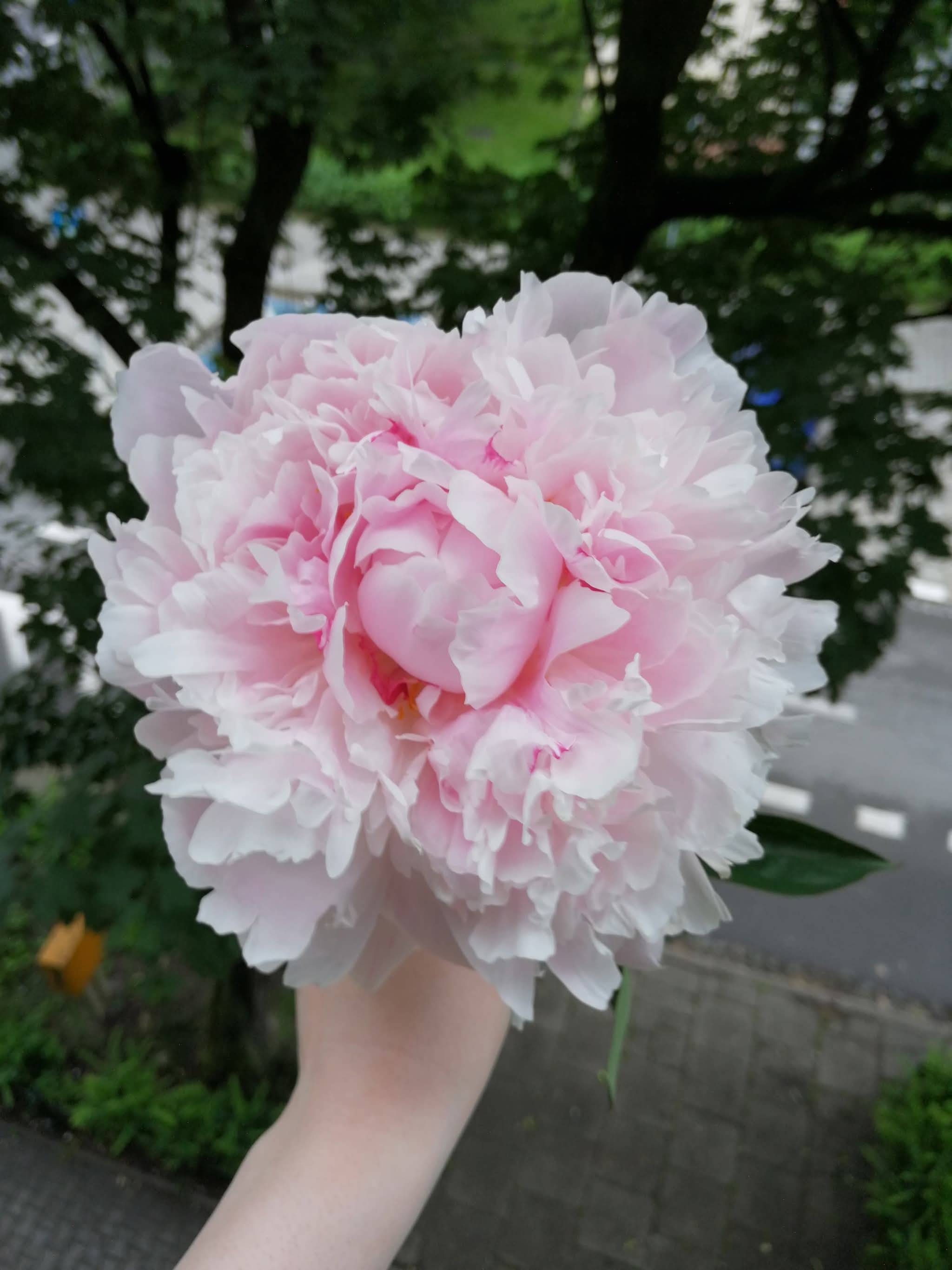 recommendation image