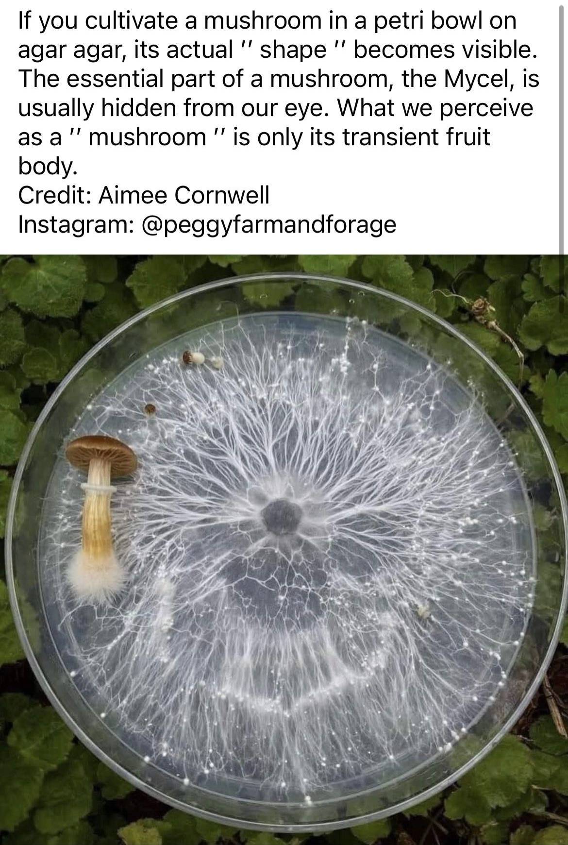 recommendation image