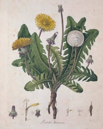 recommendation image