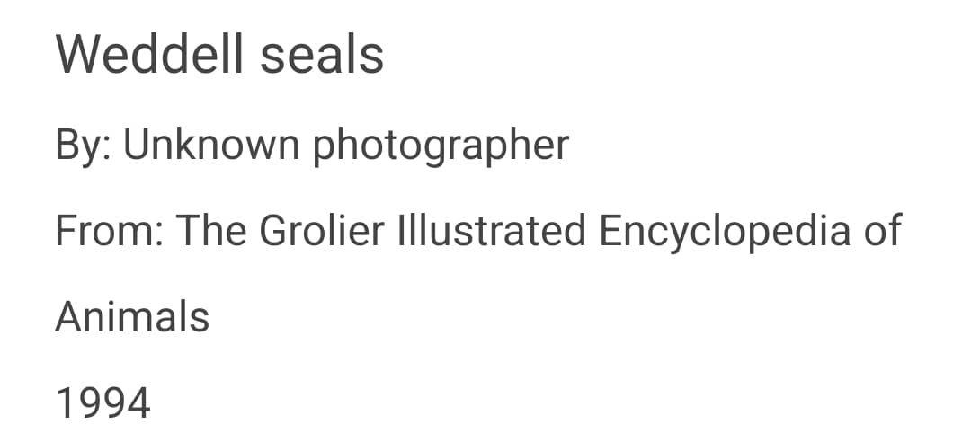 recommendation image