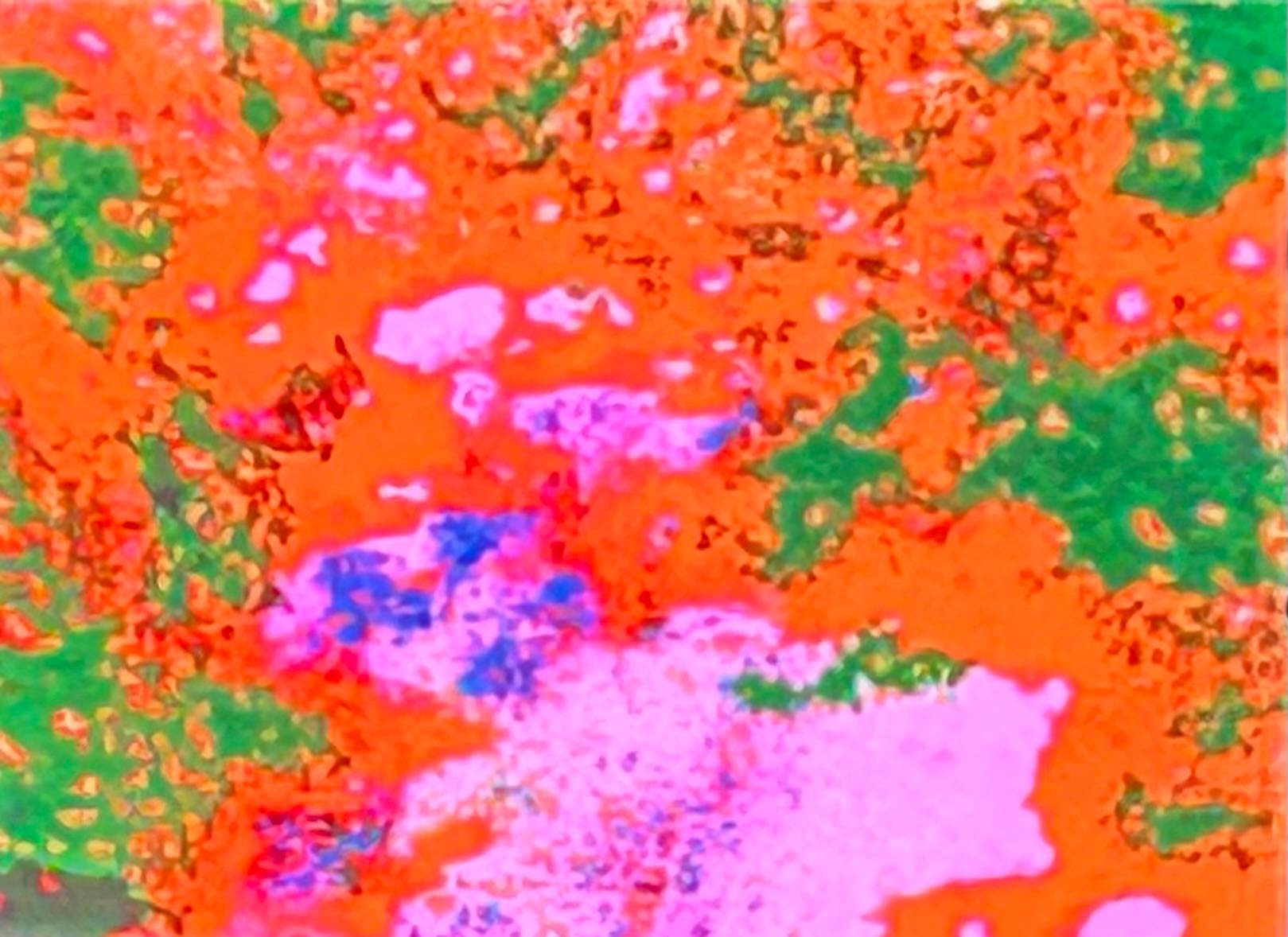 recommendation image