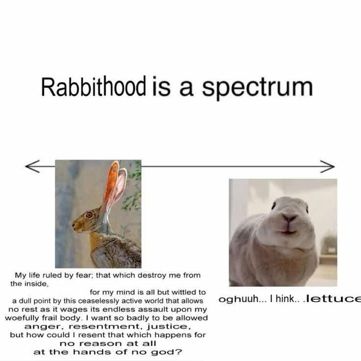 recommendation image