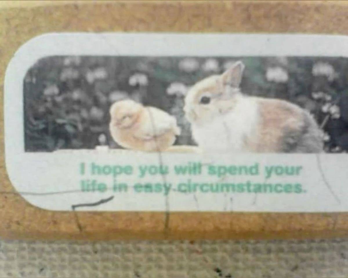 recommendation image