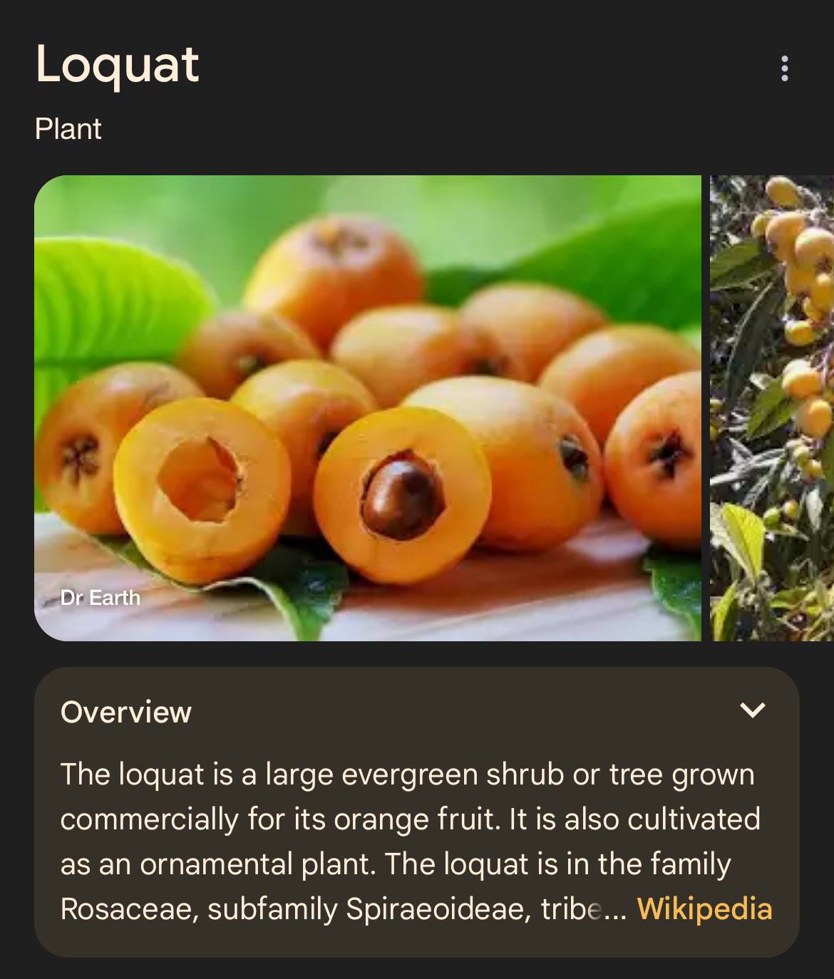 recommendation image