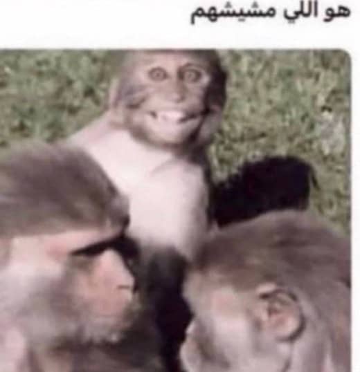 recommendation image
