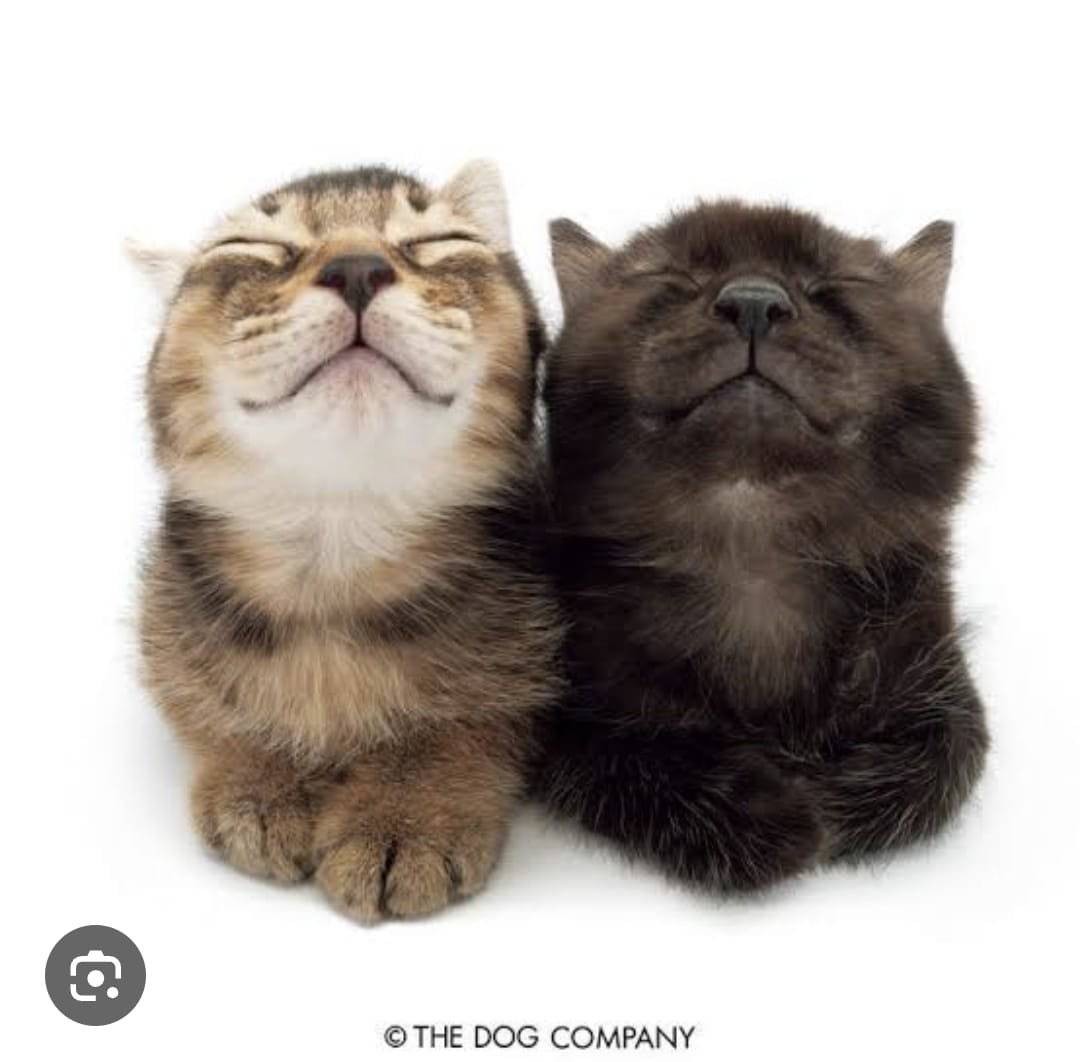 recommendation image