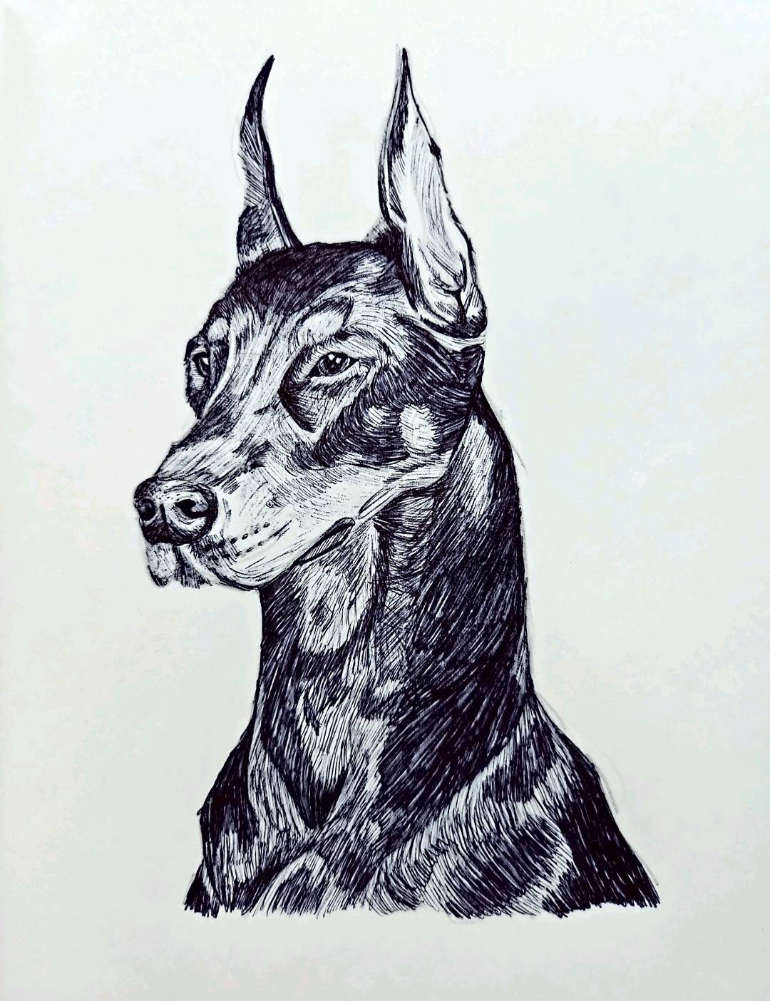 recommendation image