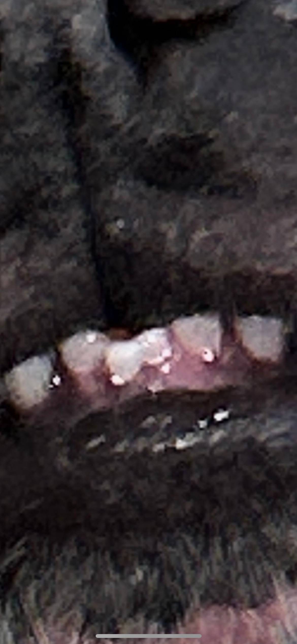 recommendation image