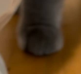 recommendation image