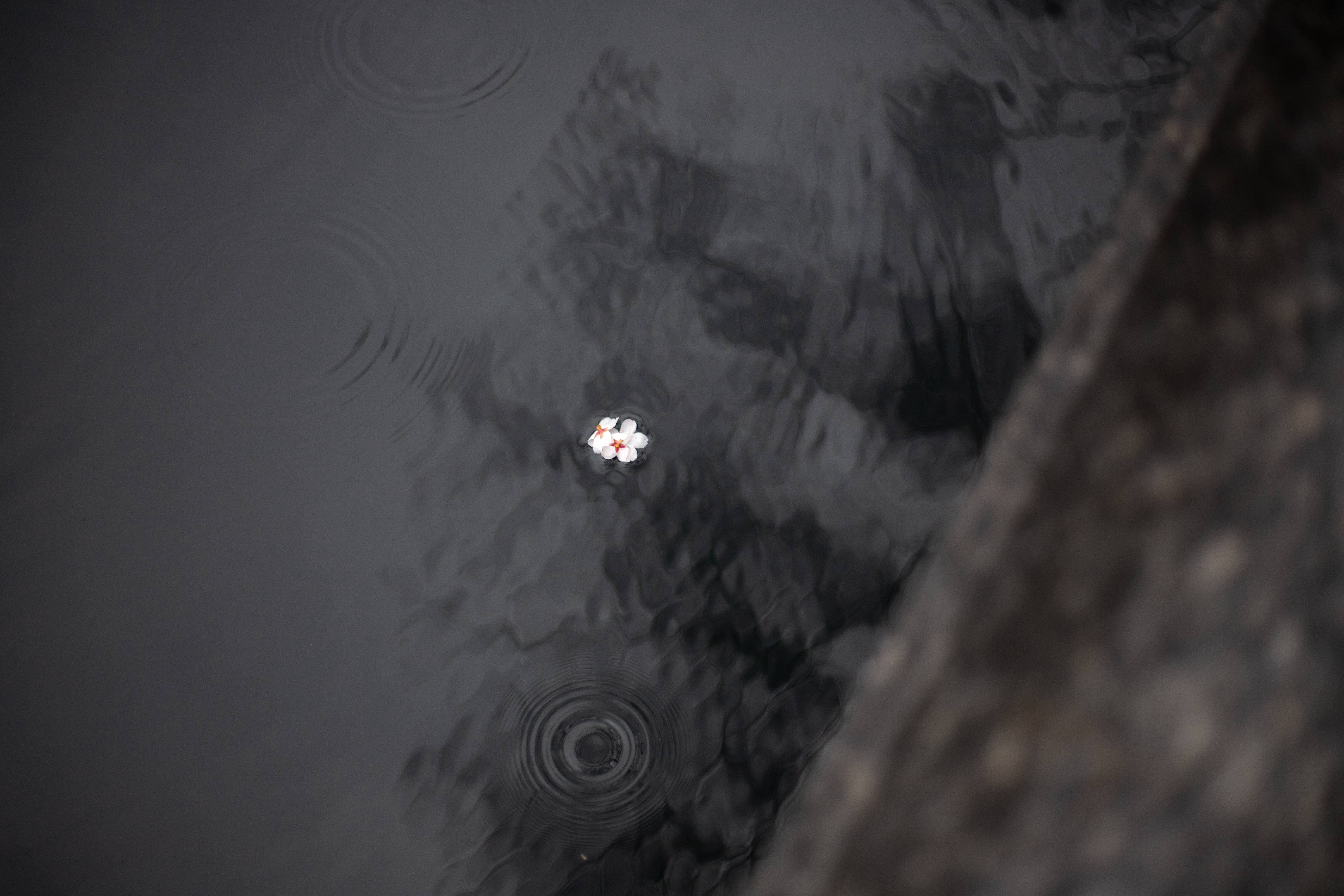 recommendation image
