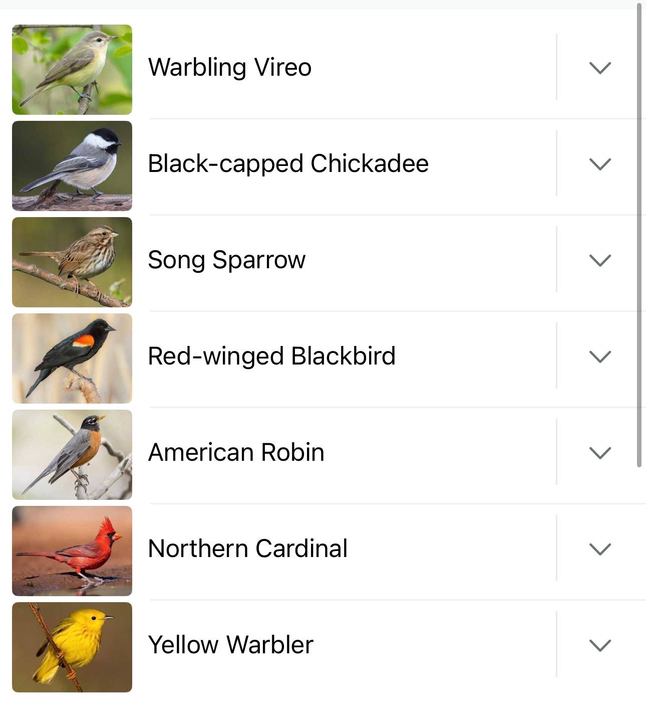 recommendation image