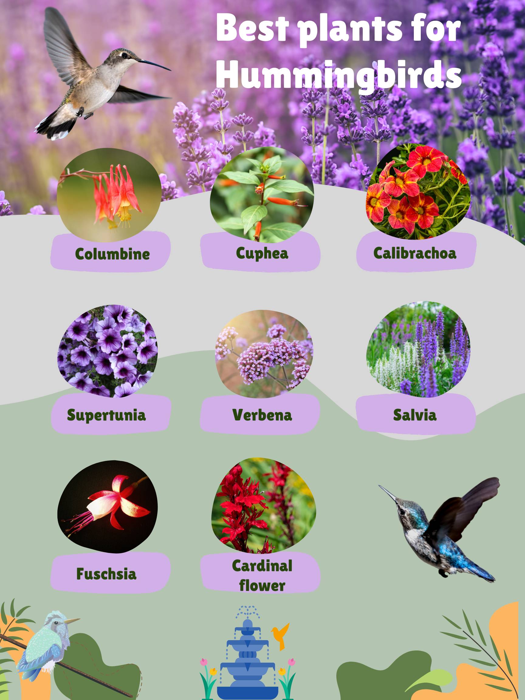 recommendation image