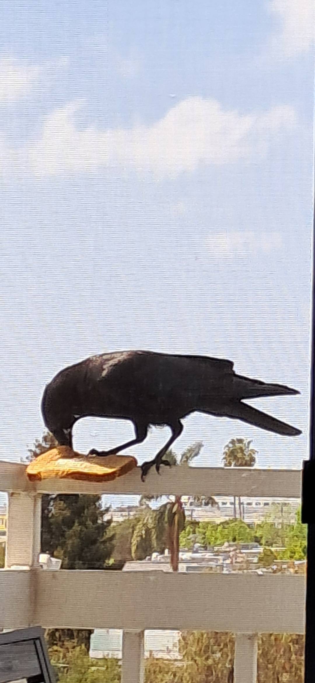 recommendation image