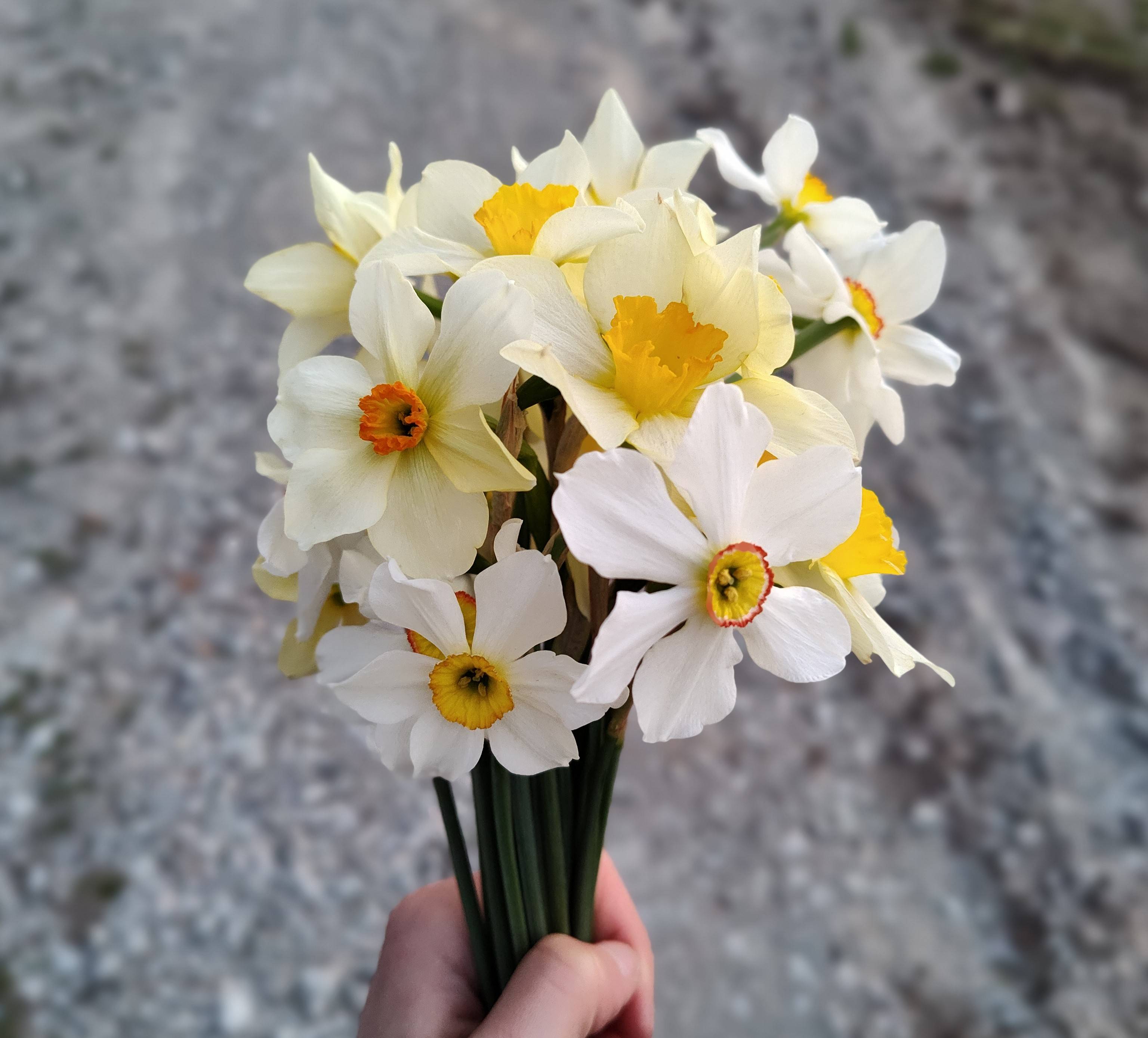 recommendation image