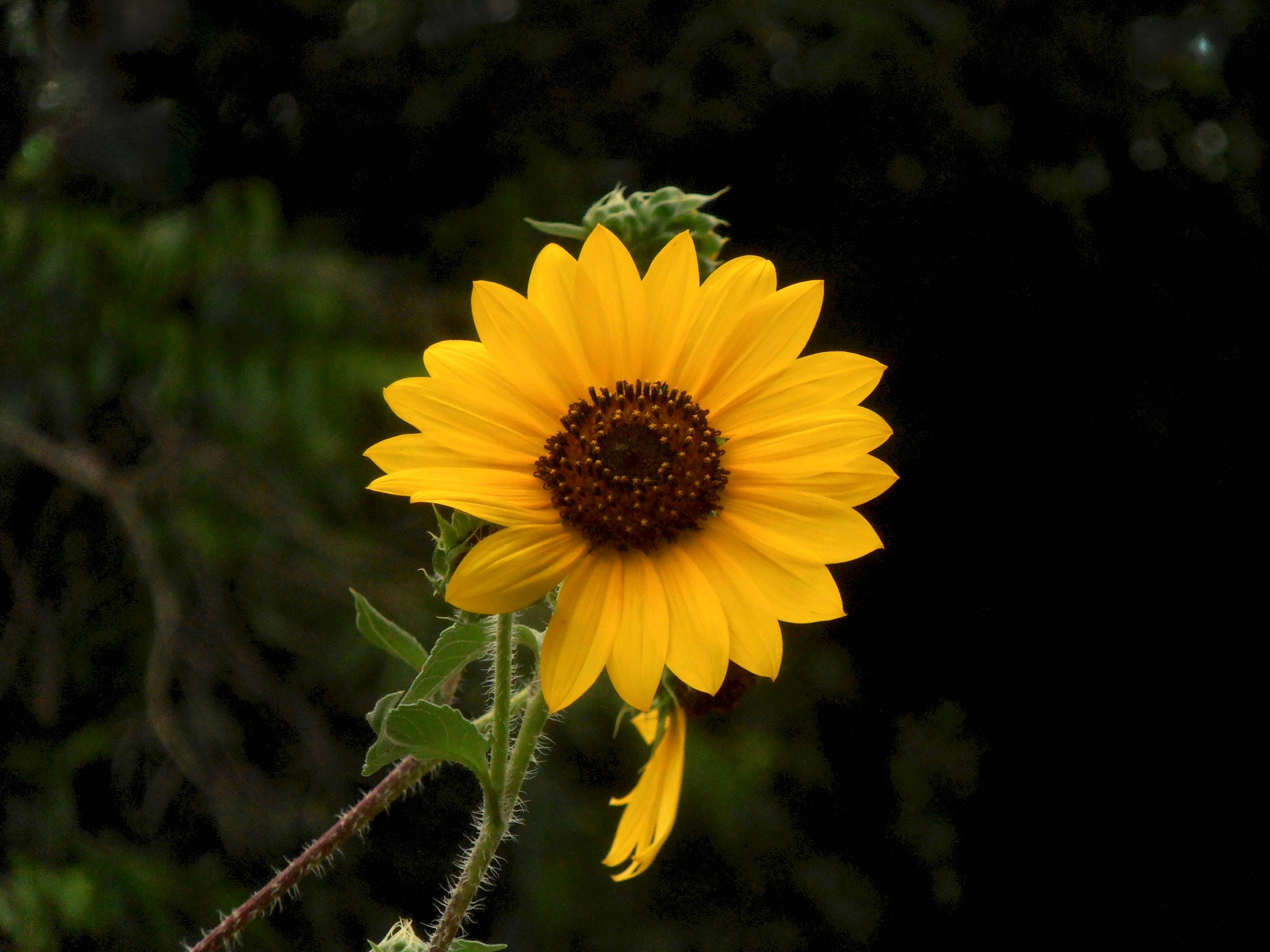 recommendation image