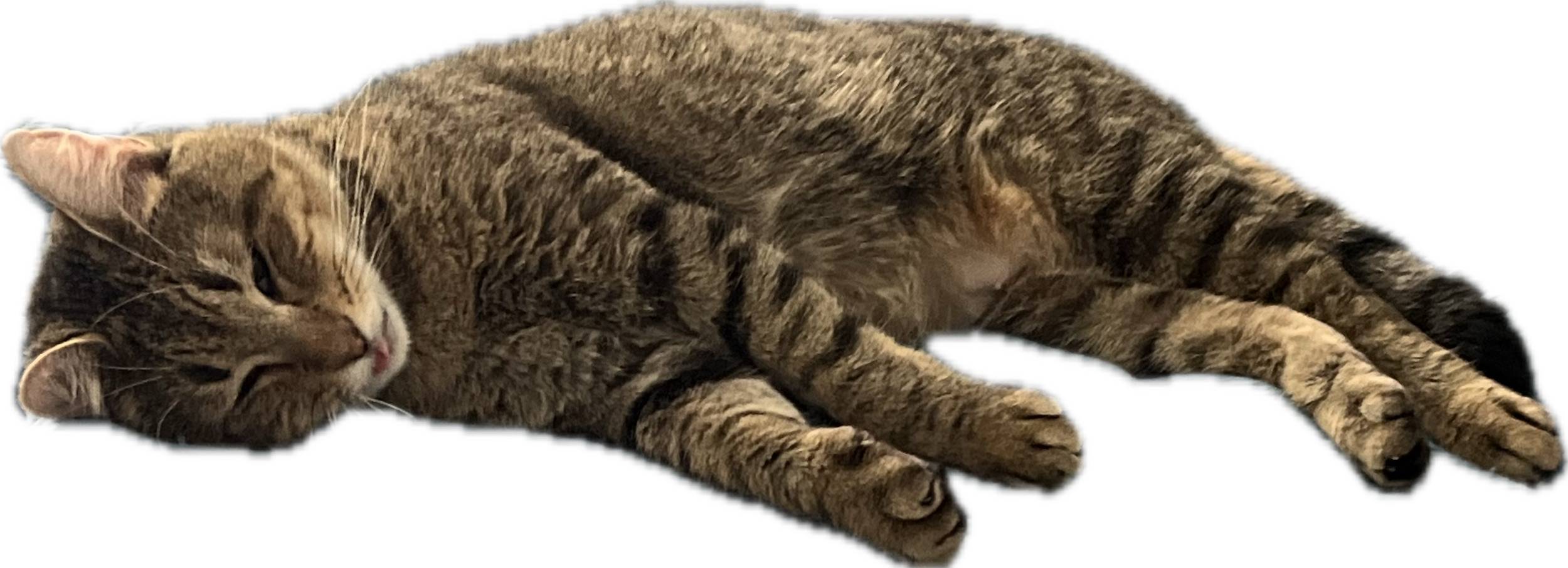 recommendation image