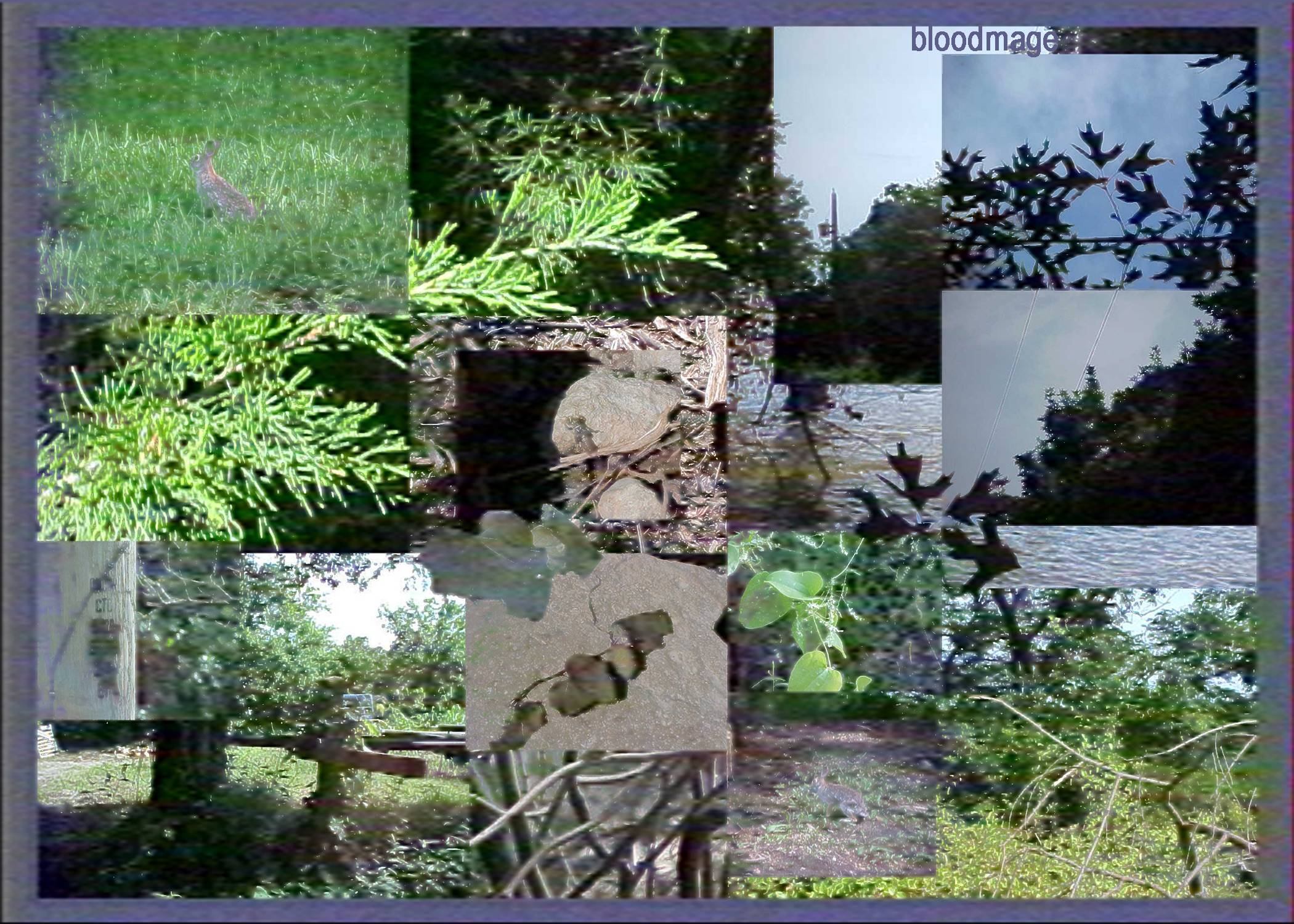 recommendation image