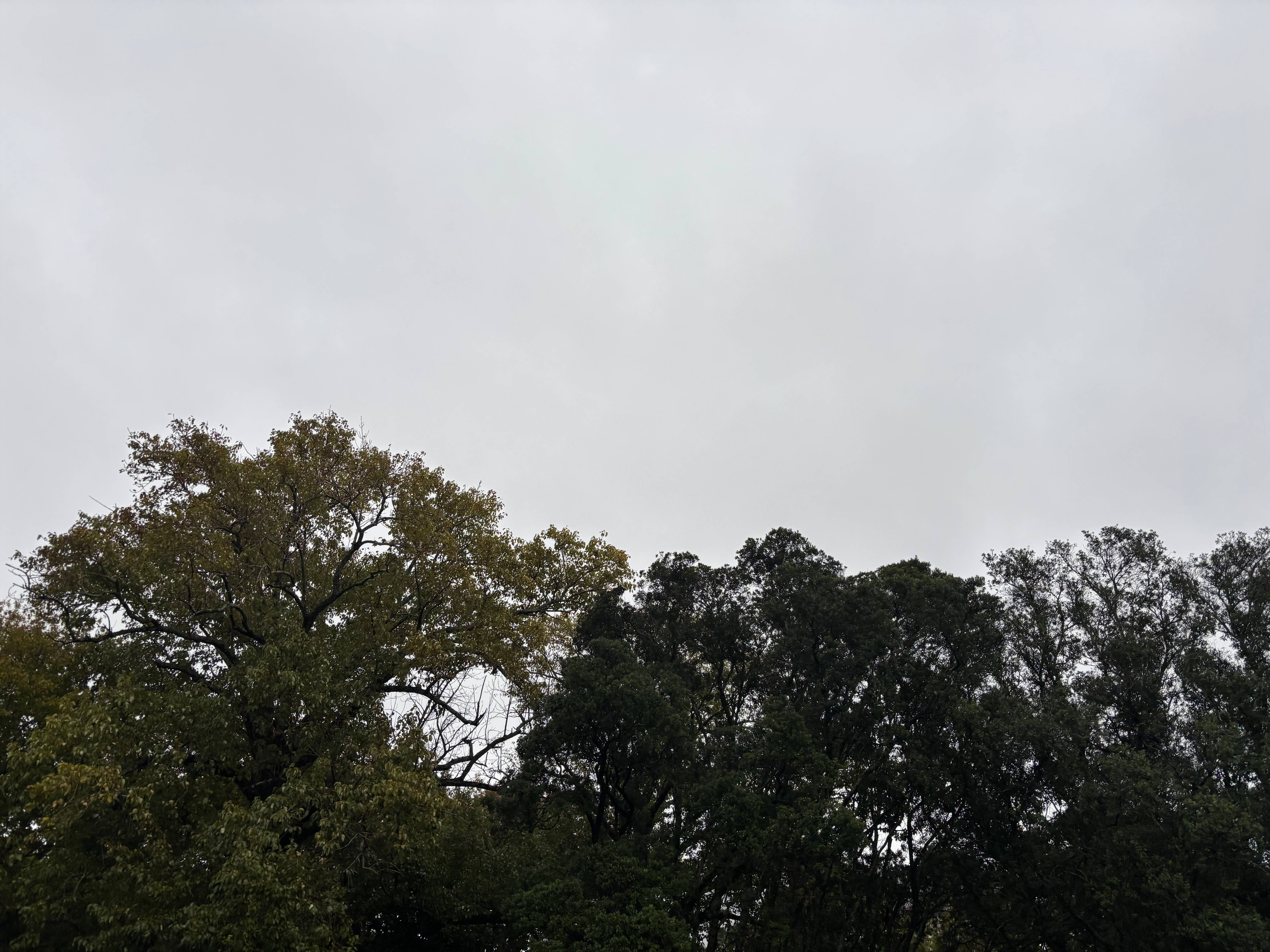 recommendation image