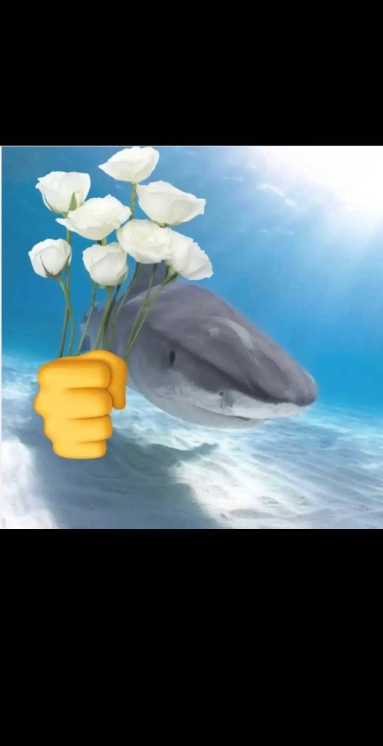 recommendation image