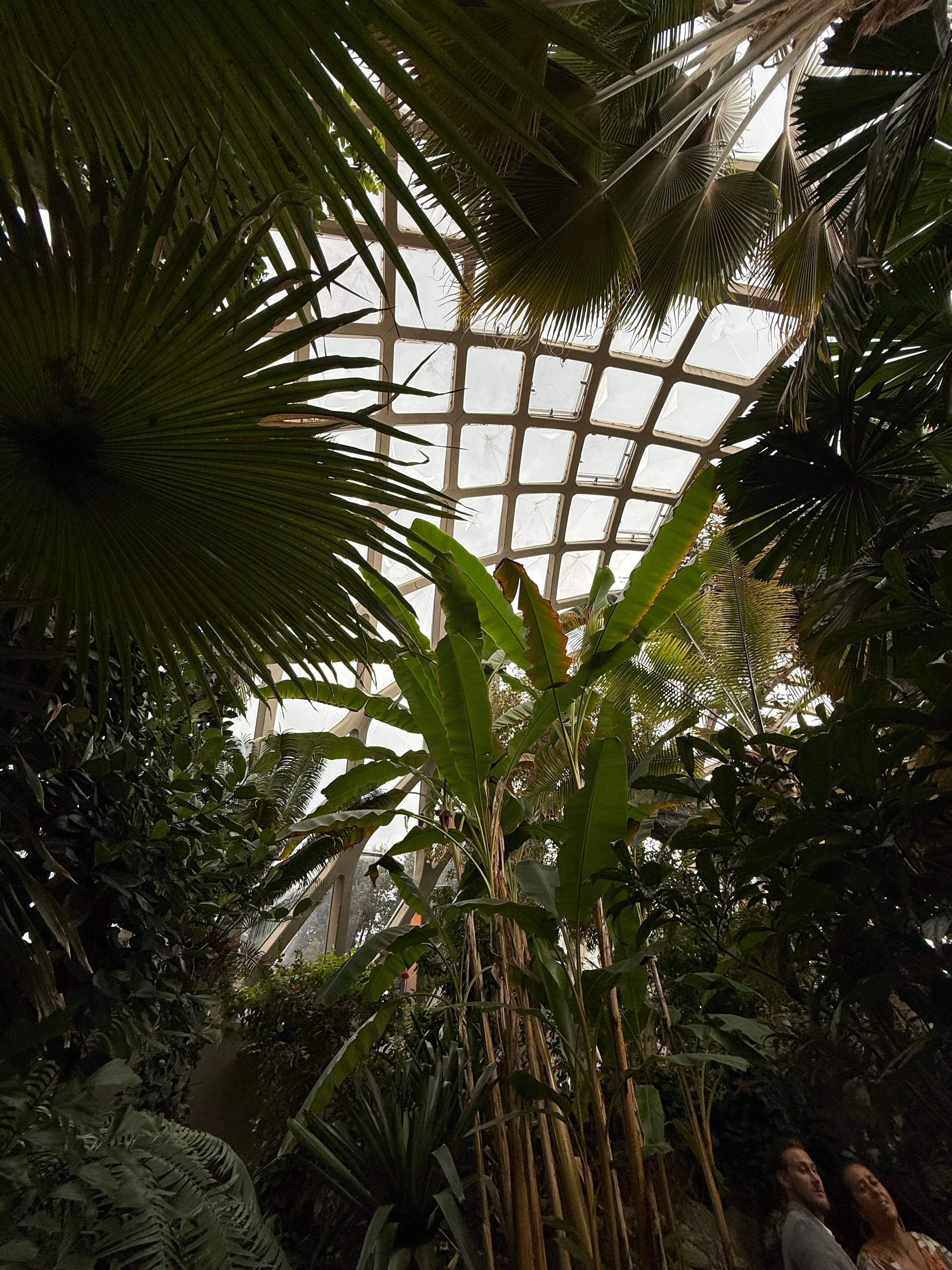 recommendation image