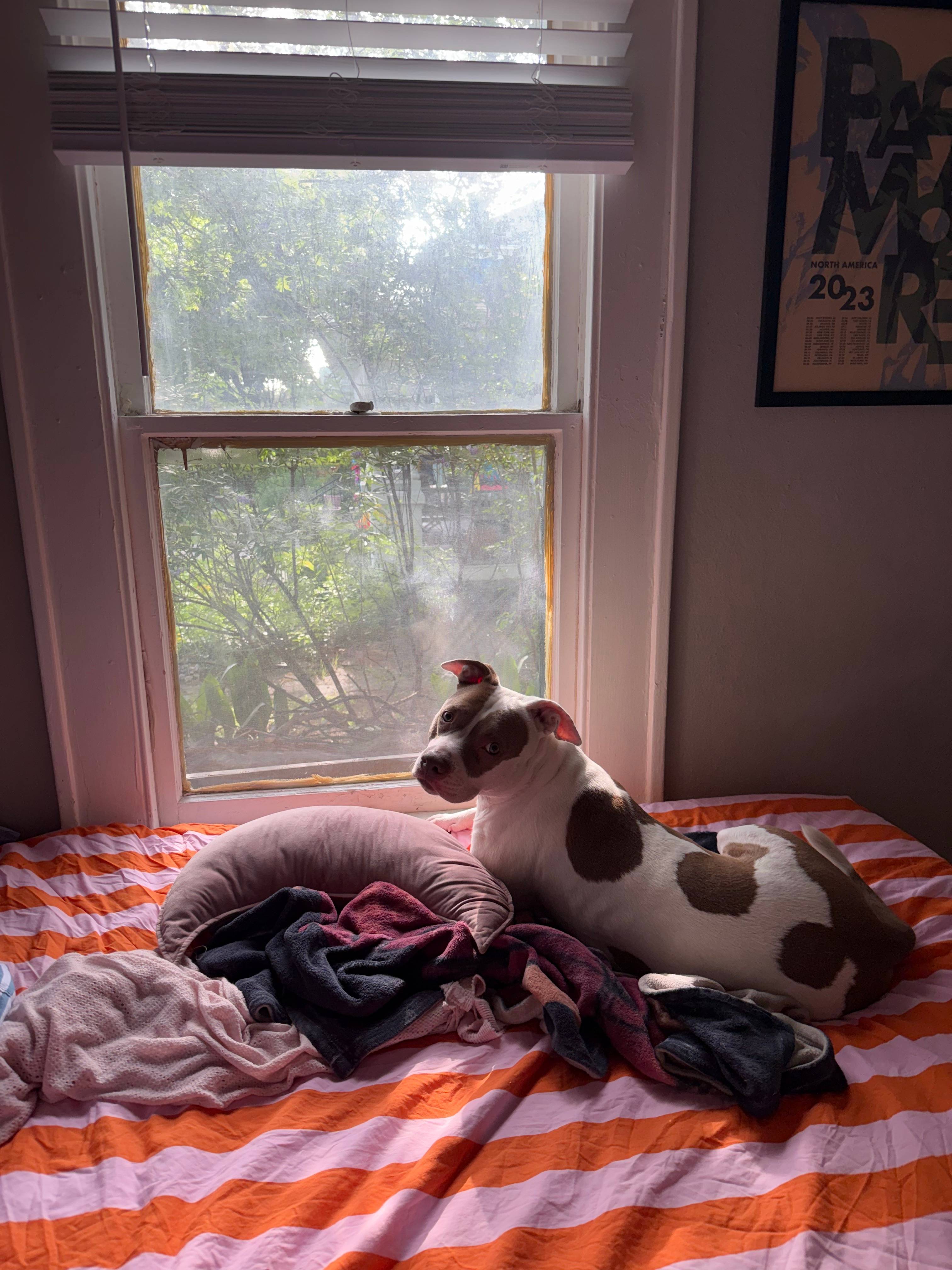 recommendation image