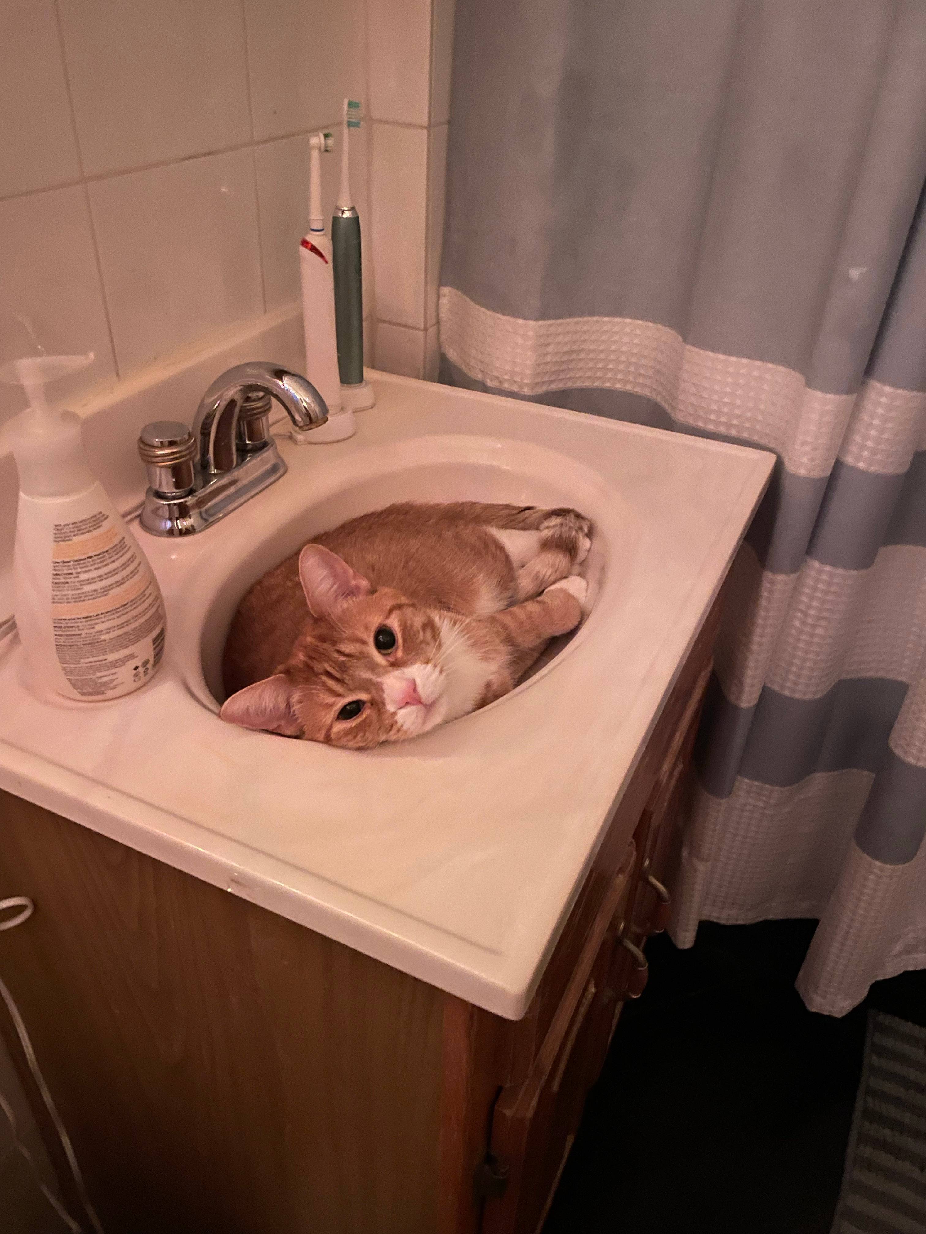 recommendation image