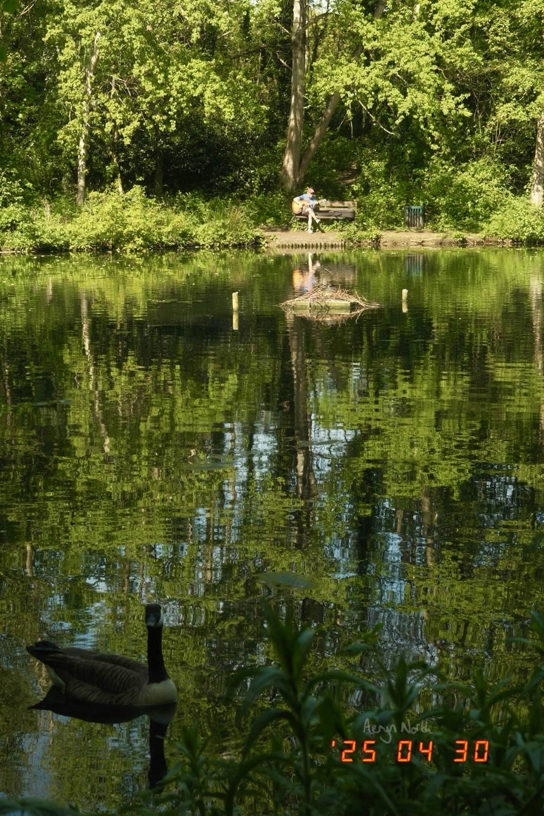 recommendation image