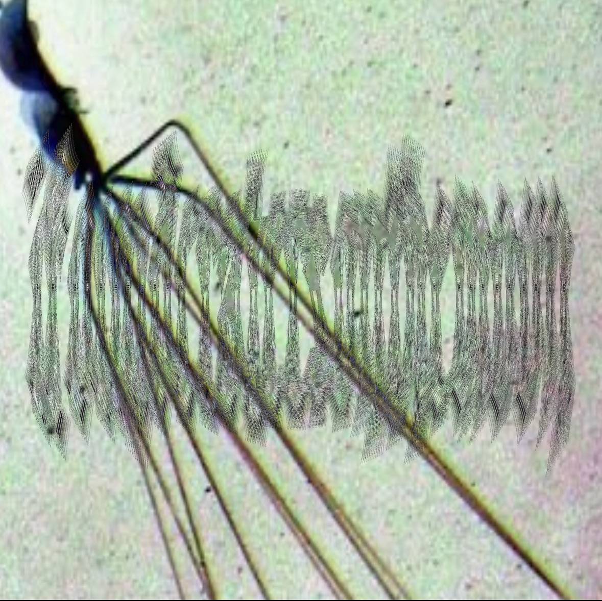 recommendation image