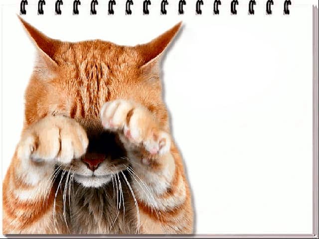 recommendation image