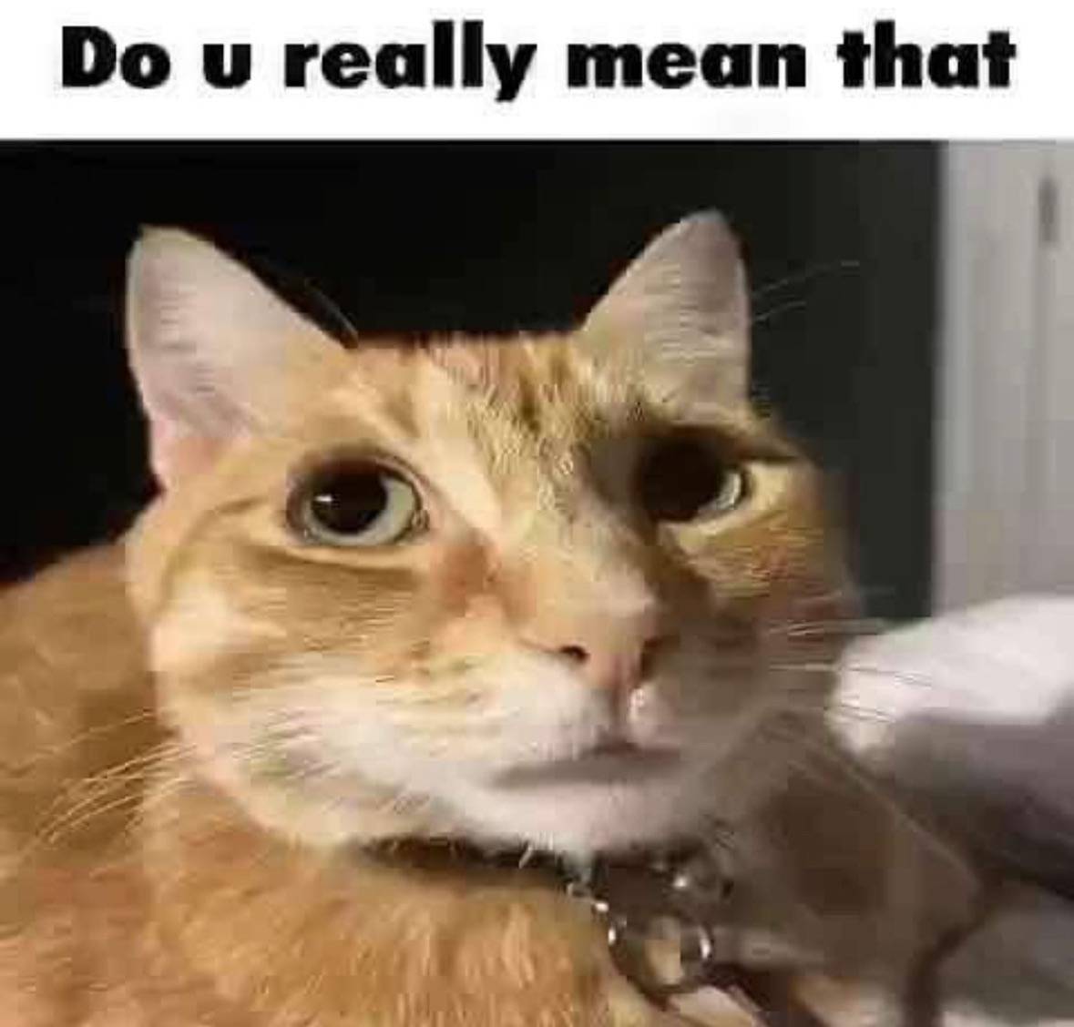 recommendation image