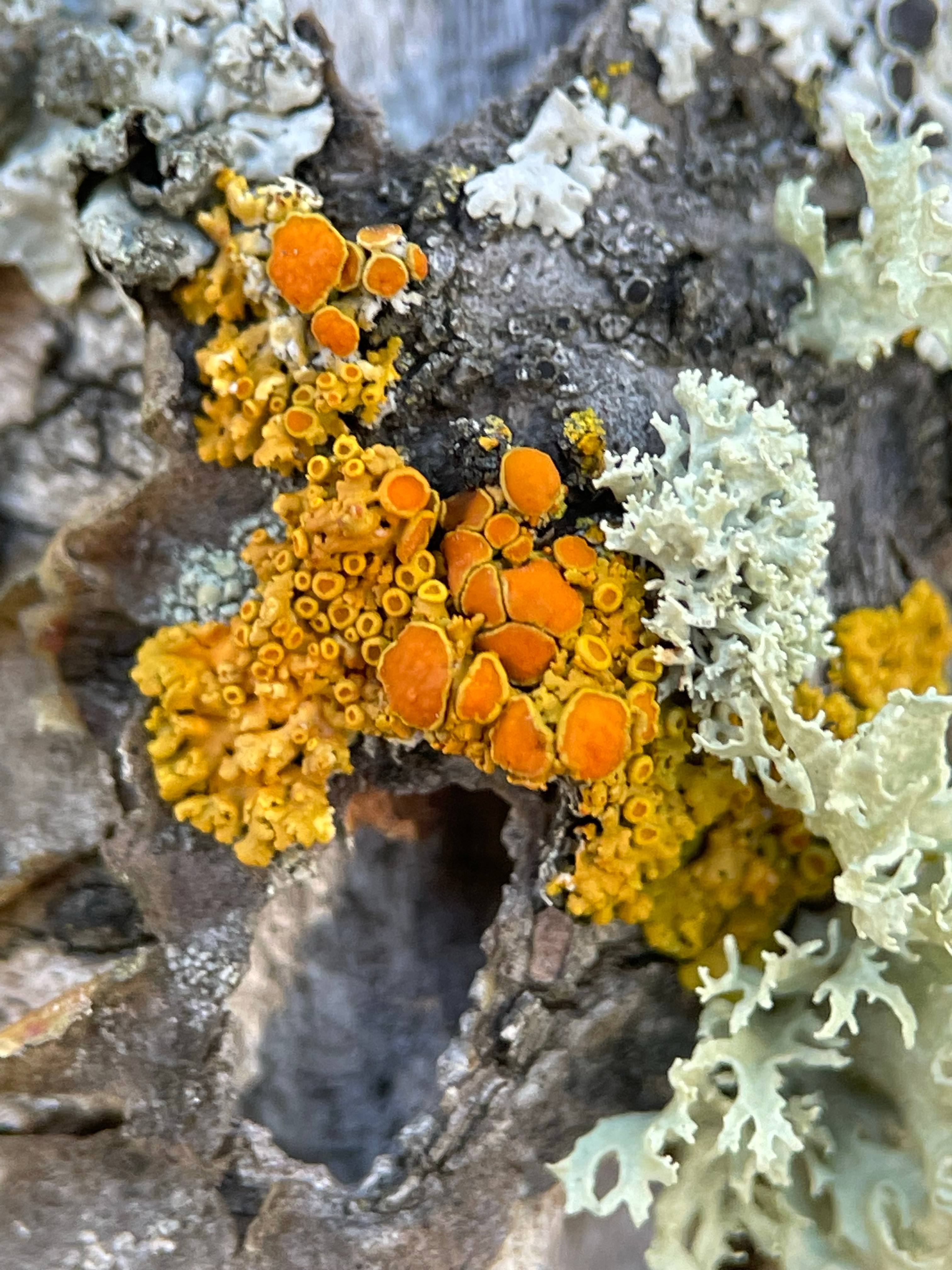 recommendation image