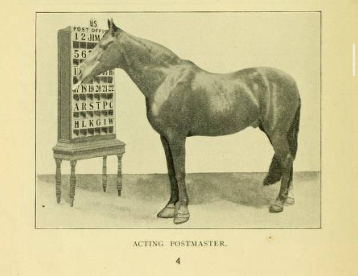 recommendation image
