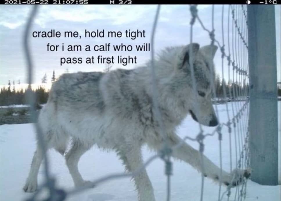 recommendation image