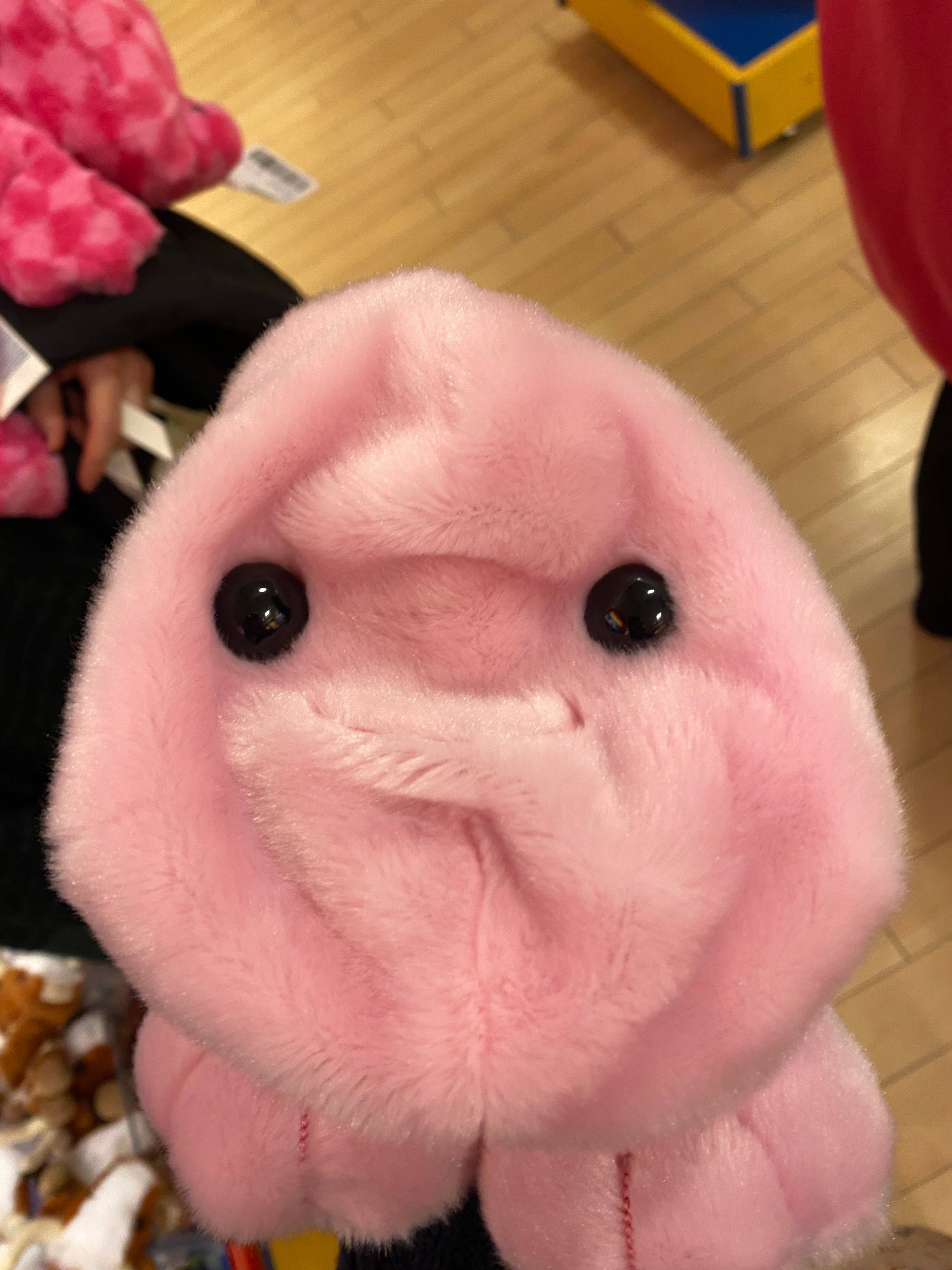 recommendation image