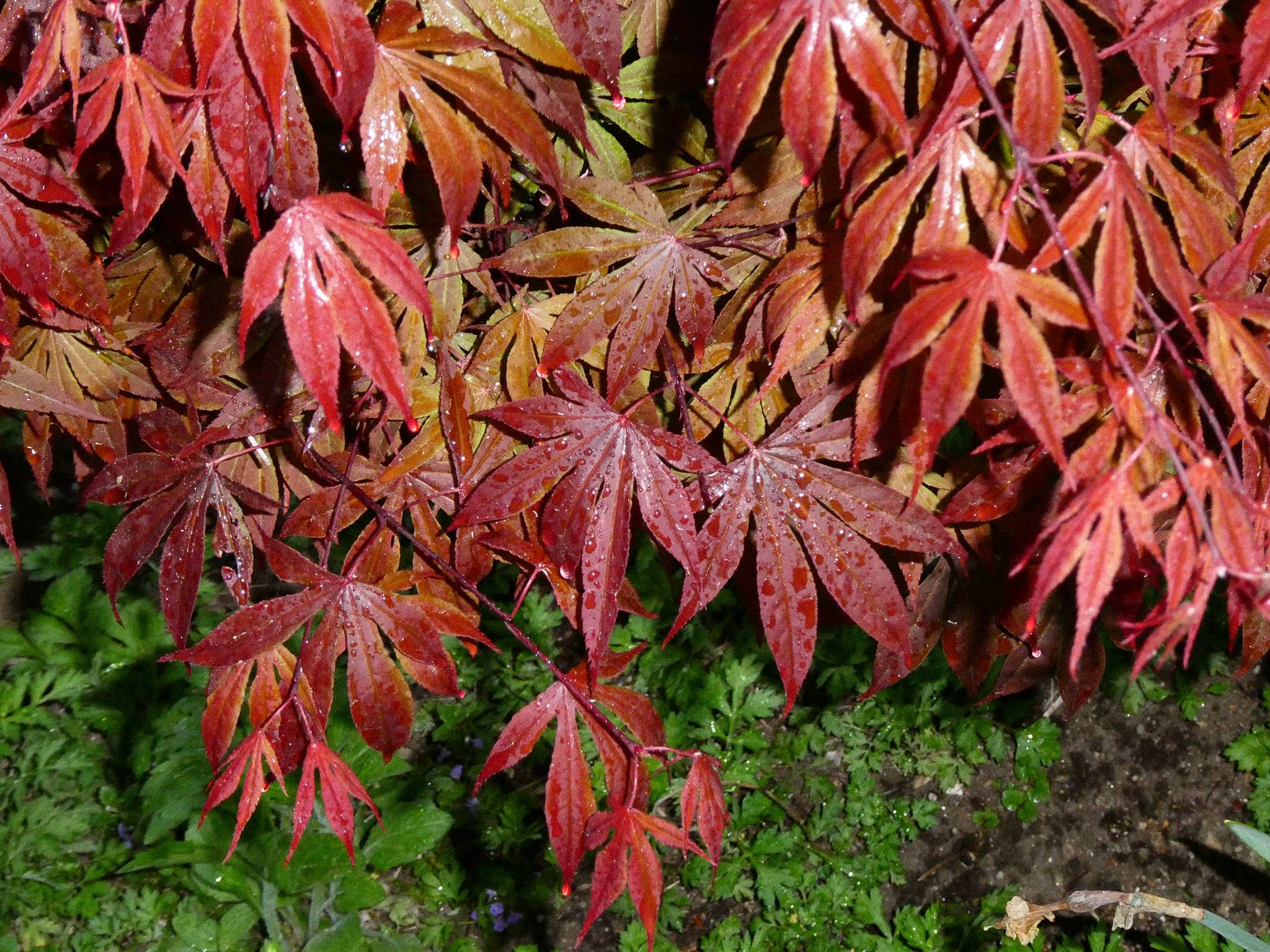 recommendation image