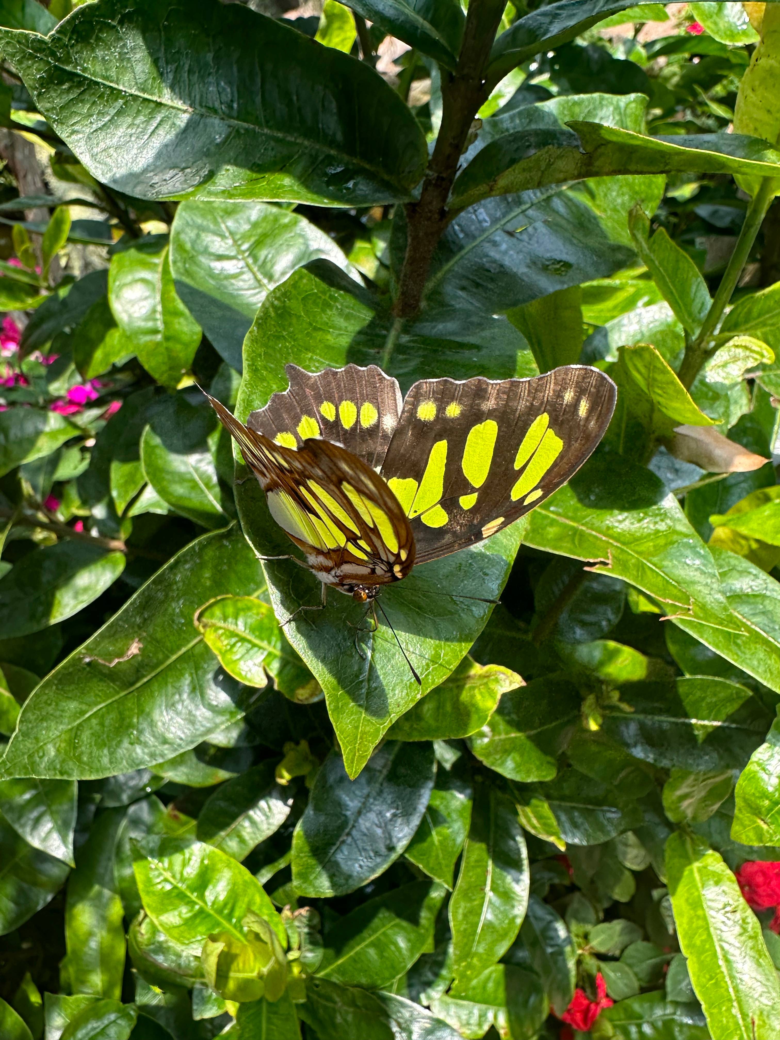 recommendation image