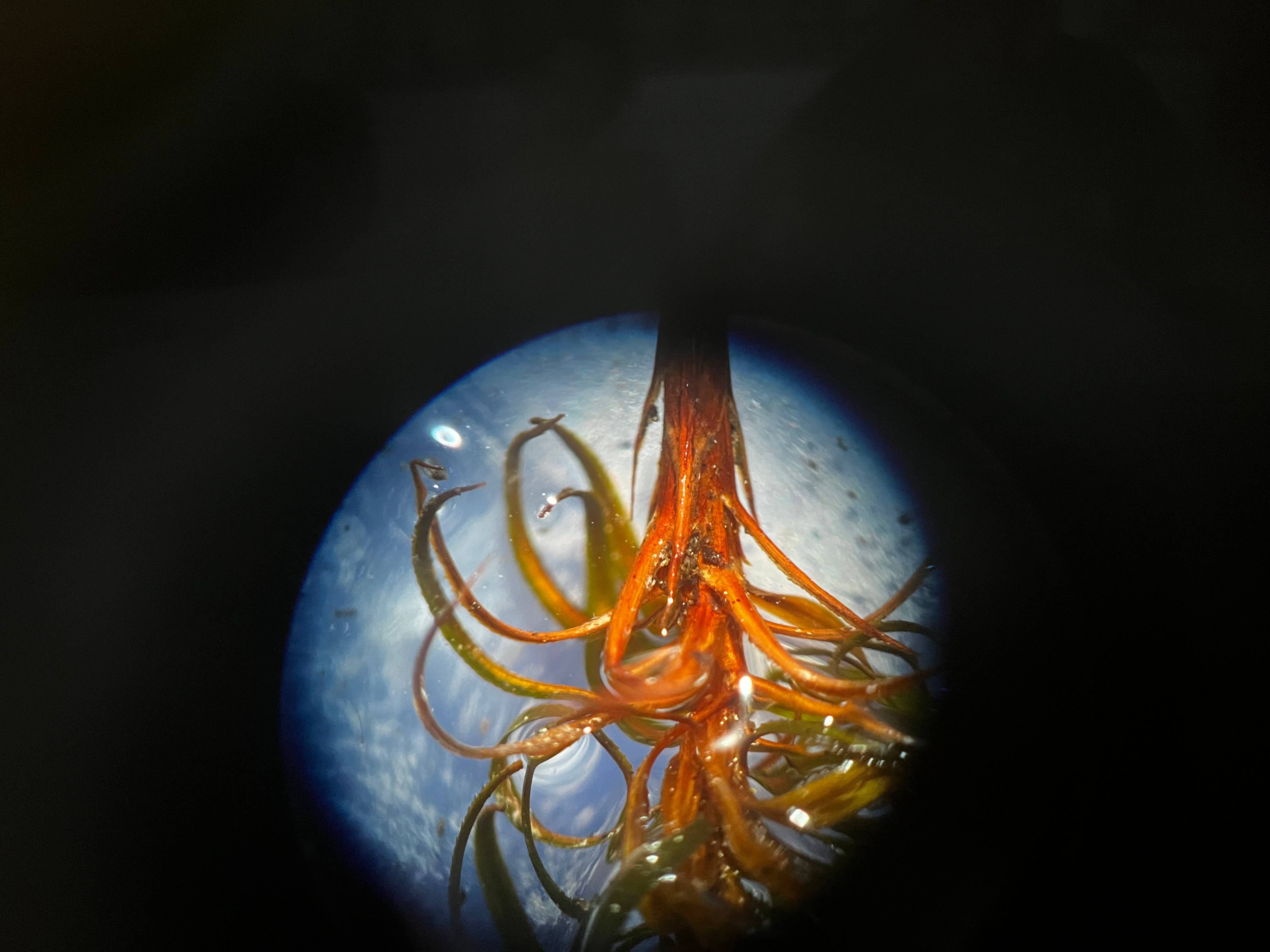 recommendation image