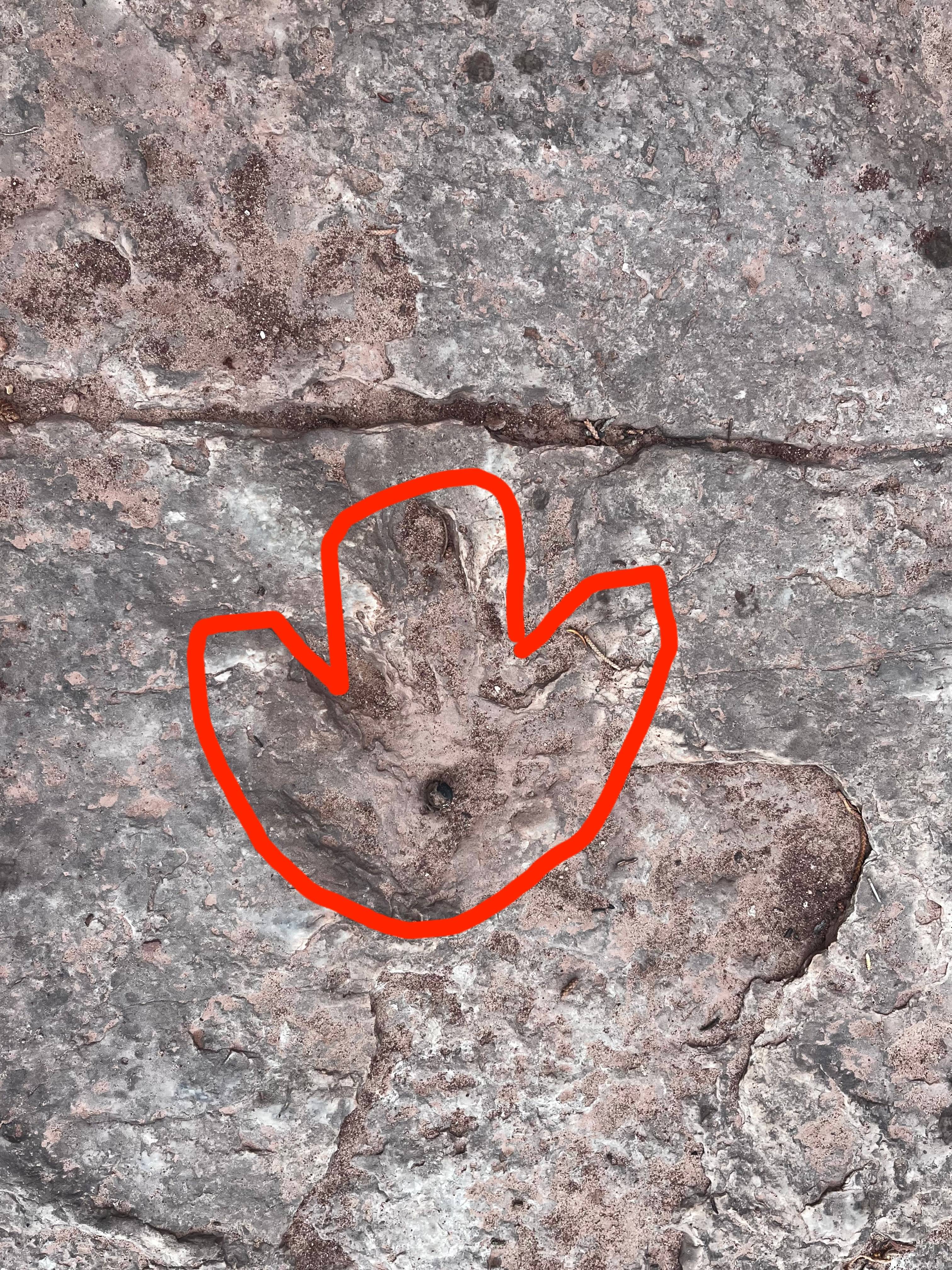 recommendation image