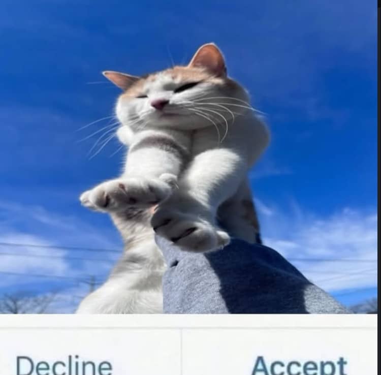 recommendation image
