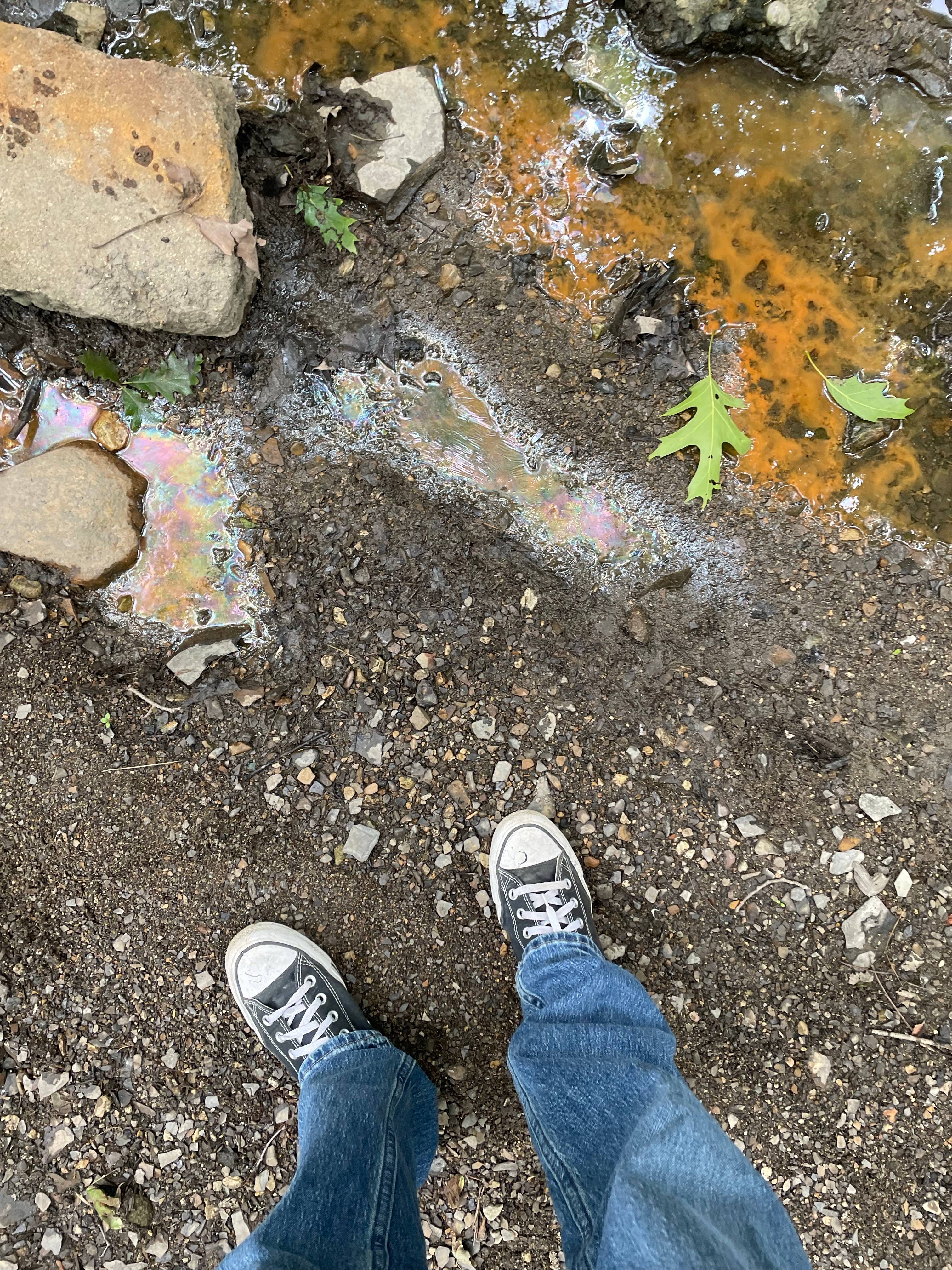 recommendation image