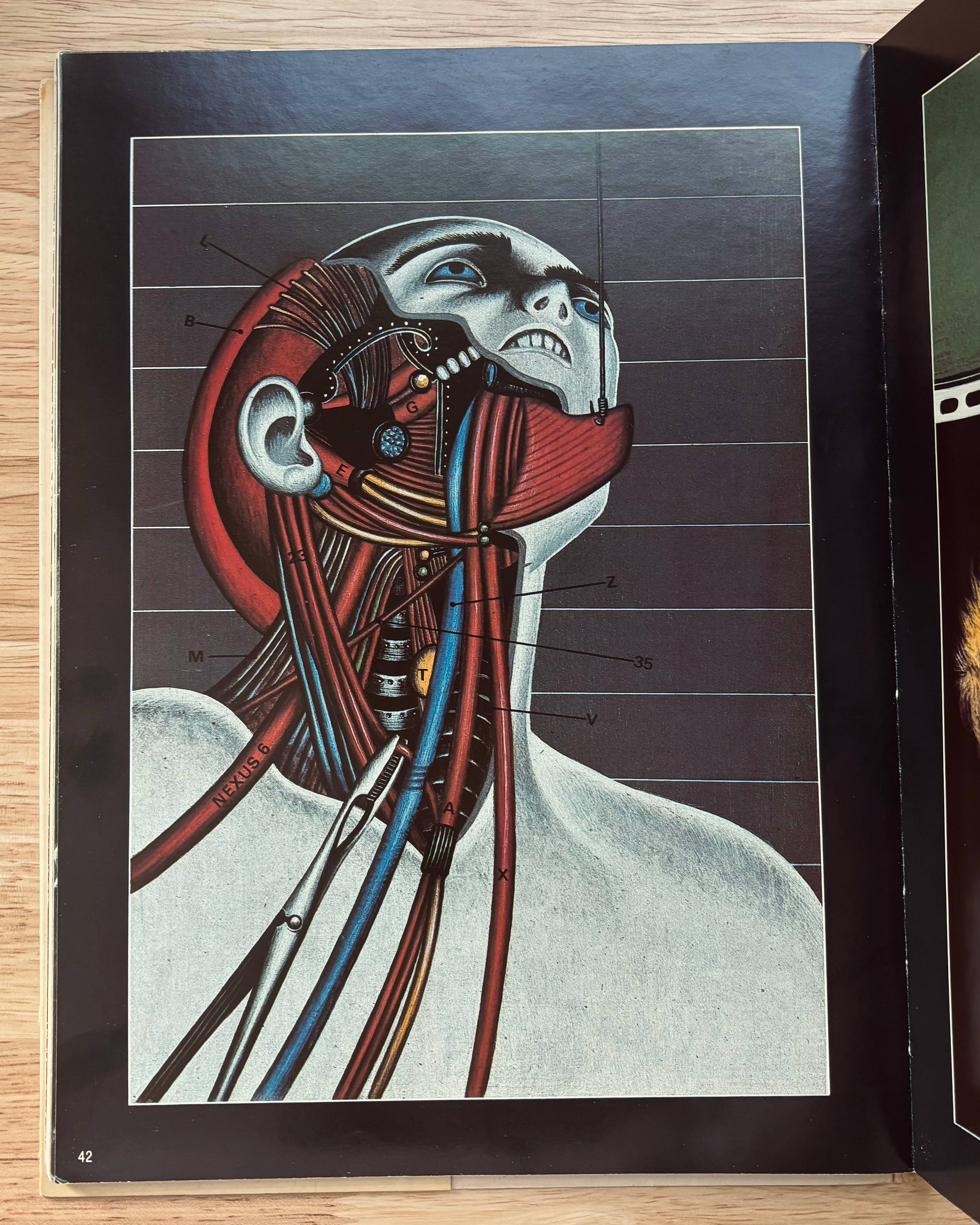 recommendation image