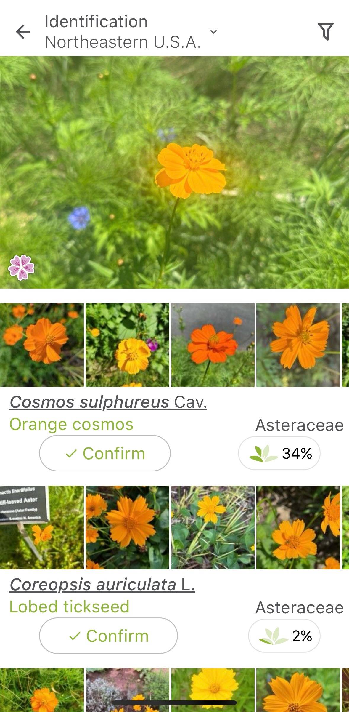 recommendation image
