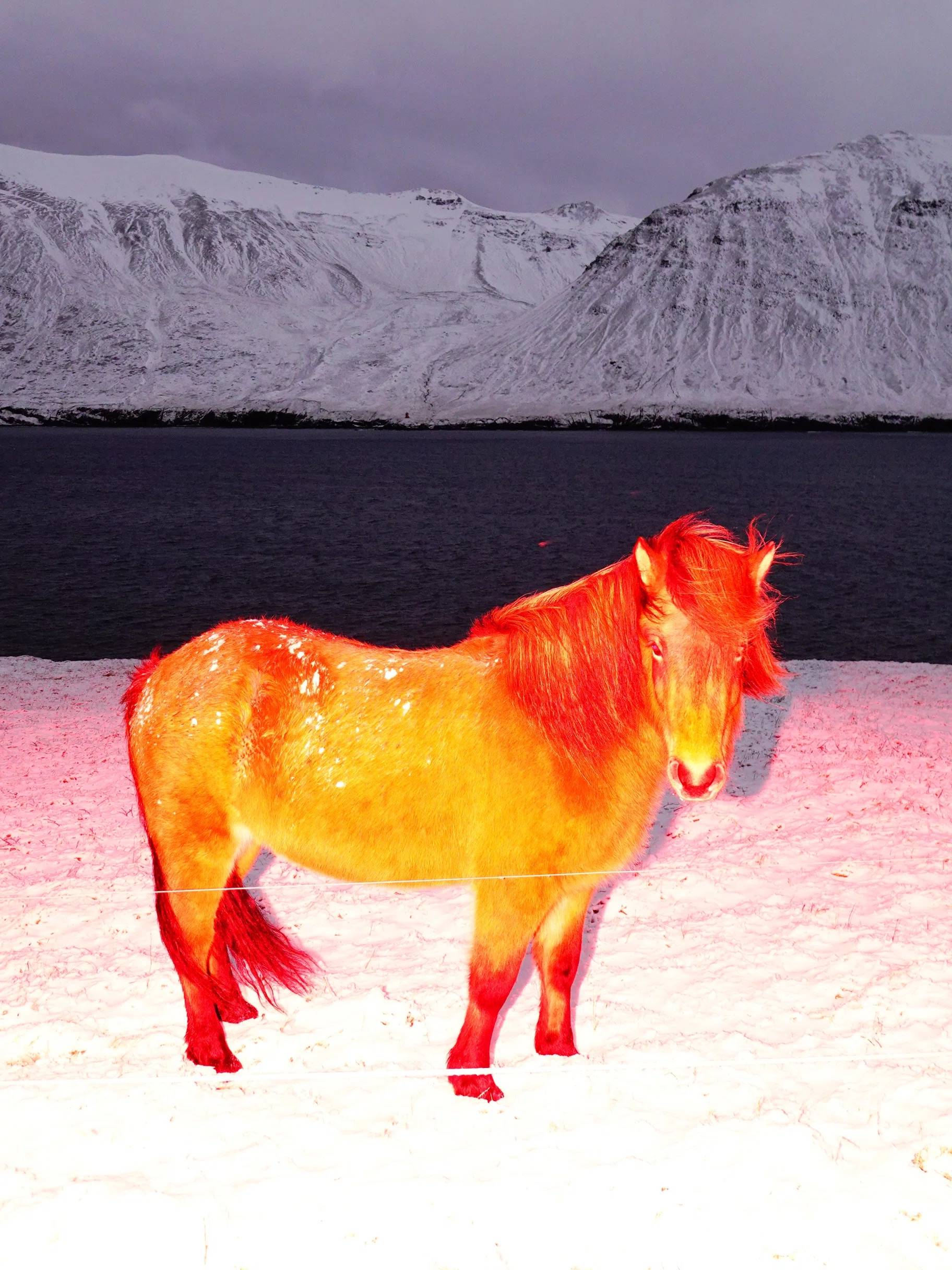 recommendation image