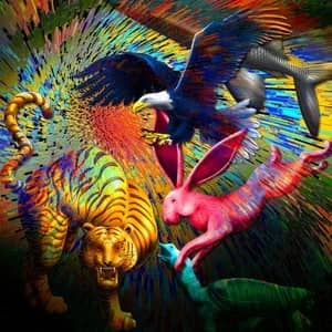 recommendation image