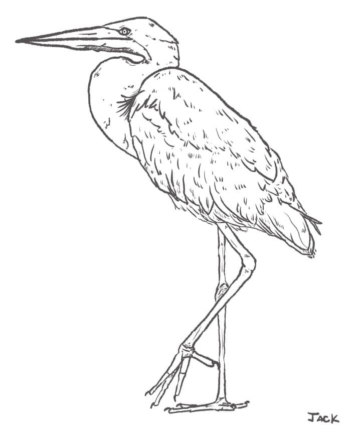 recommendation image
