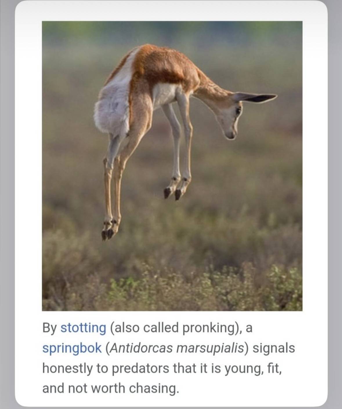 recommendation image